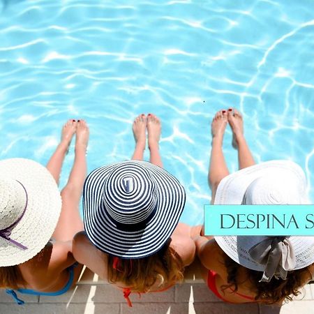 Despina Studios Agia Marina Exteriér fotografie